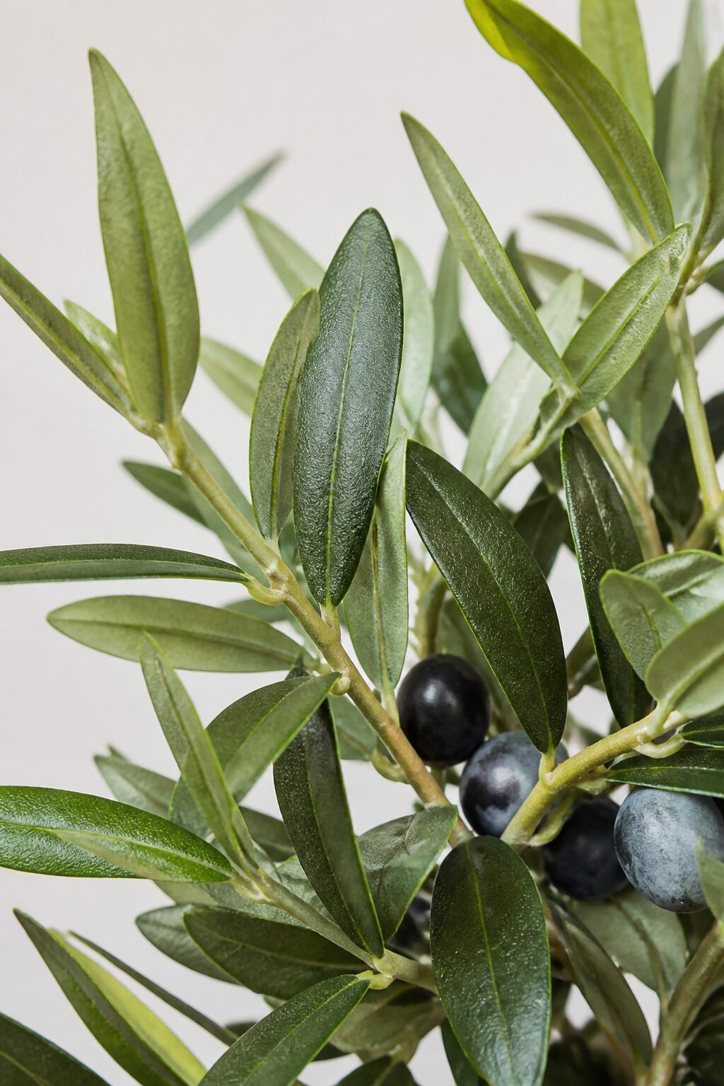 lifelike faux olive branches, varied greens, macro shot